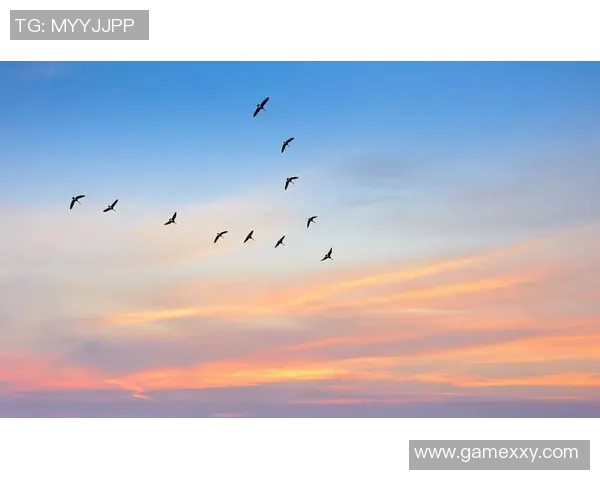 太阳与天空的历史对决回顾及比分分析