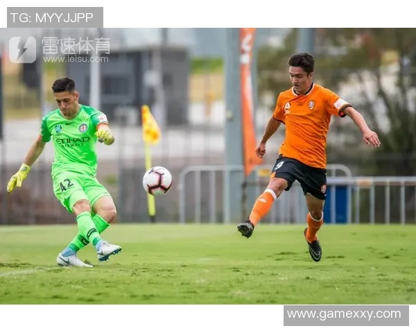 惠灵顿凤凰迎战布里斯班狮吼期待精彩对决与激烈碰撞 惠灵顿凤凰迎战布里斯班狮吼期待精彩对决与激烈碰撞