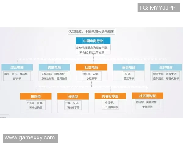 深入分析IG的运营策略与成功经验分享