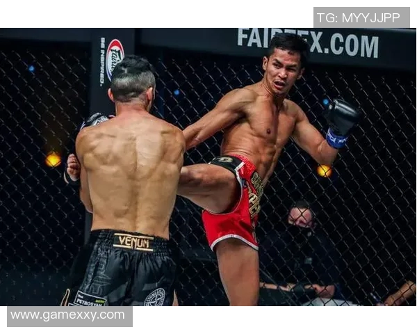 维迪奥顿与贝游击的精彩对决分析与赛后点评