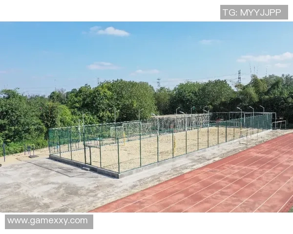 广州排球队实力分析与未来发展潜力的深入探讨MBA