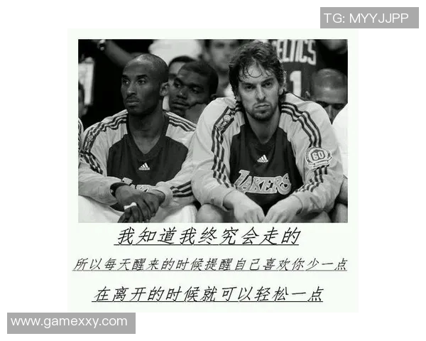 深度对话:赵敏如何在篮球人生中追寻梦想与挑战自我